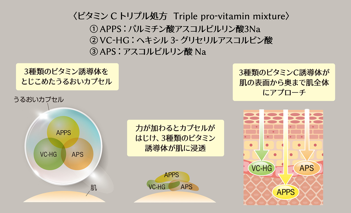 Vit+amine Chic(ビタミンシーク) ビューティー・セラム・パウダー4